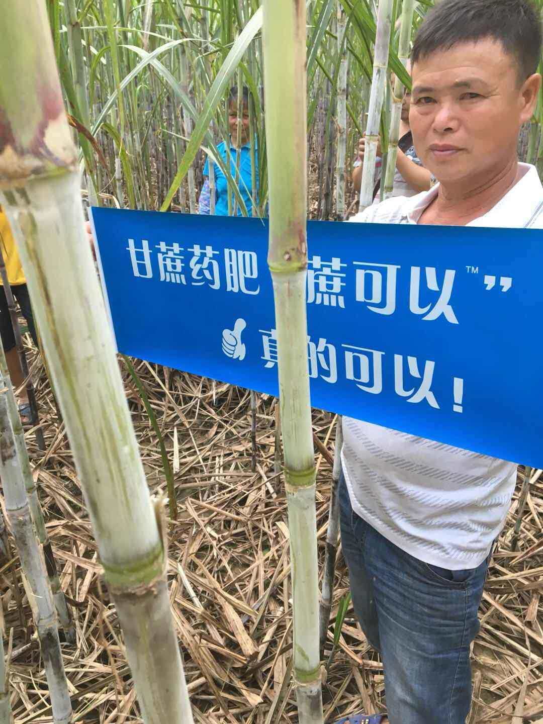蔗可以甘蔗防虫药肥